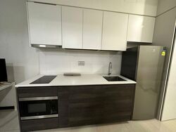Sims Urban Oasis (D14), Condominium #581967011